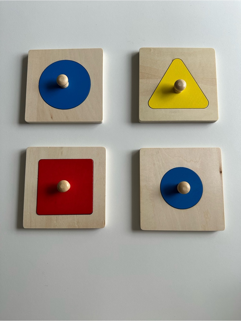 Montessori Kids Wooden Geometric Shape Sensory Puzzles